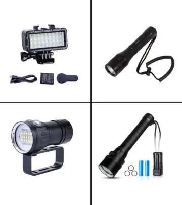 Divers need these best dive lights under $100 with long battery life and good brightness.