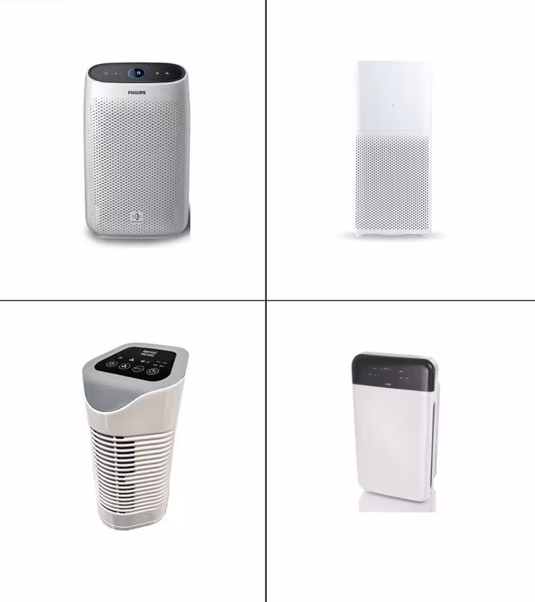 13 Best Air Purifiers In India In 2021-1