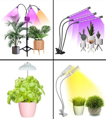 15 Best Grow Lights For Indoor Plants