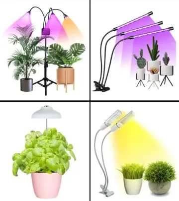 For unhampered indoor gardening during any time of the year. 