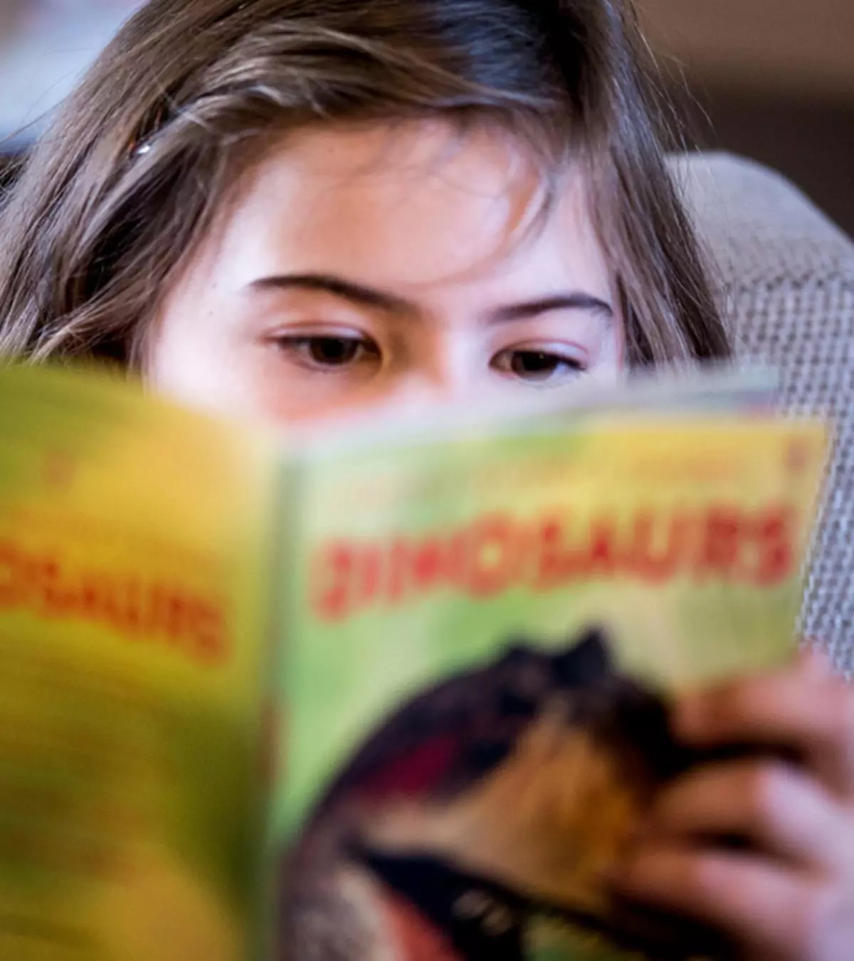 Colorful images to pop-ups--add fun to your child's learning about dinosaurs. 