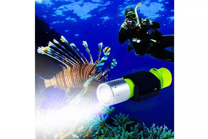 BlueFire Cree Scuba Diving Flashlight