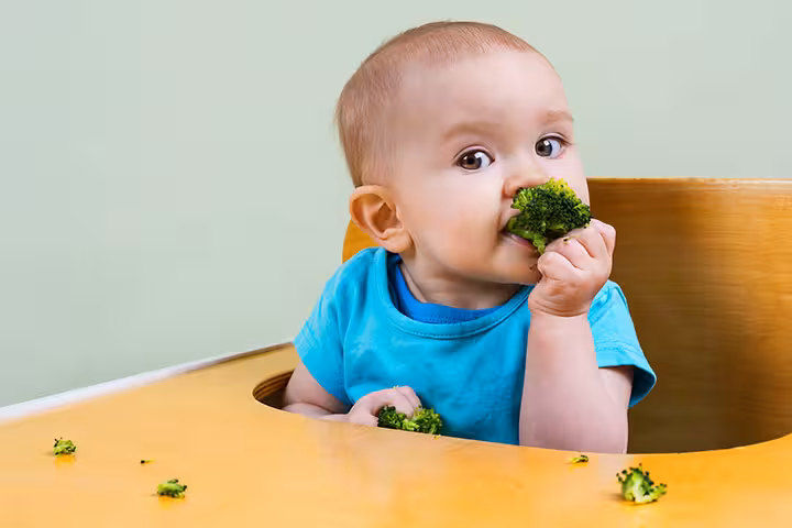 Broccoli For Babies: Right Age, Benefits And Recipes
