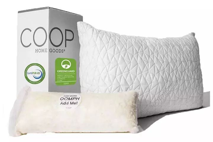 Coop Home Goods Premium Pillow