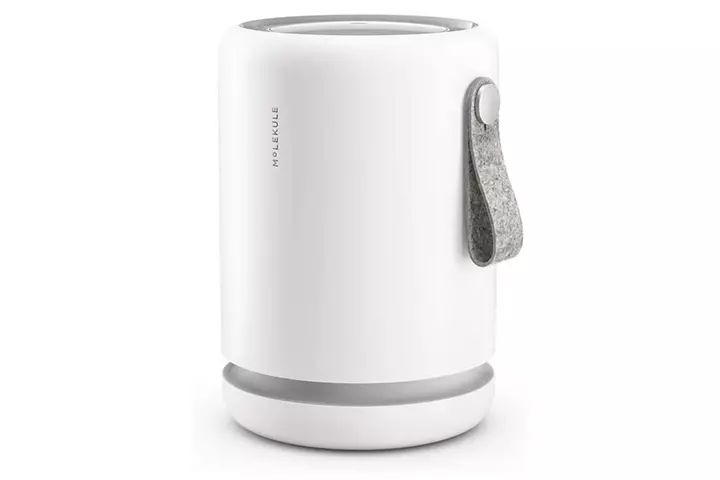 Molekule Small Room Air Purifier