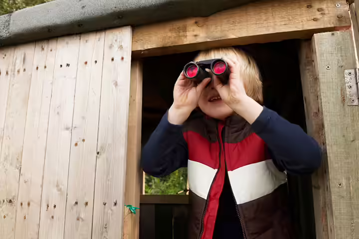 Shed treehouse, Tips for building a treehouse