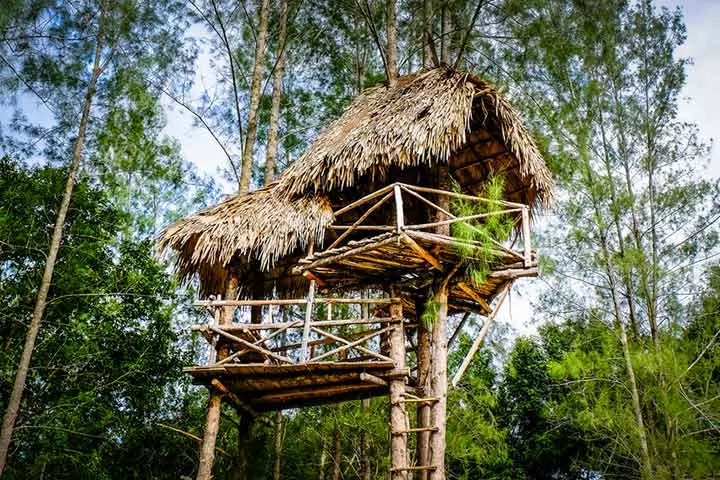 The apartment treehouse, Tips for building a treehouse