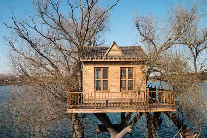 Treehouse with a deck, Tips for building a treehouse