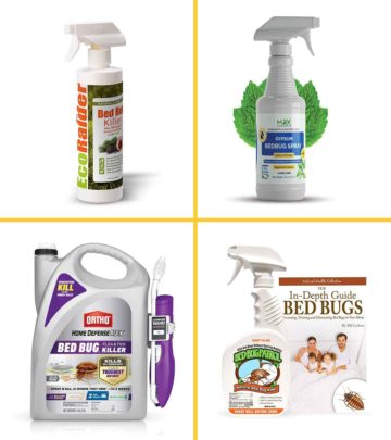 Prevent infestation even before it begins with these long-lasting bed bug sprays. 