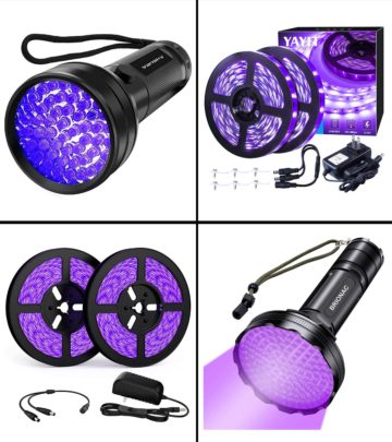 11 Best Black Lights To Buy In 2021