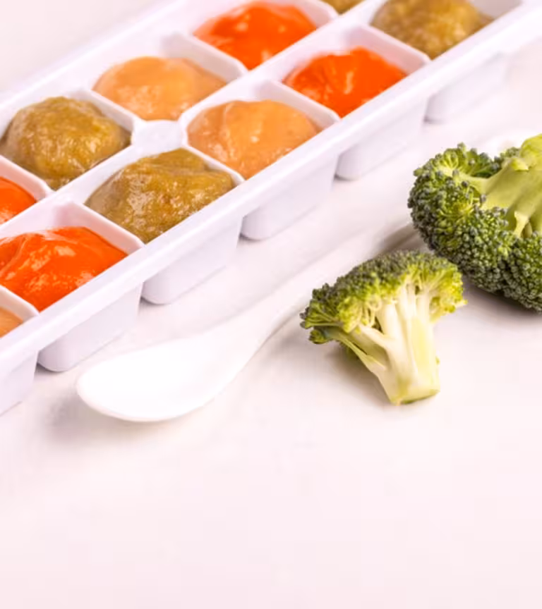12 Useful Tips On Storing And Freezing Baby Food 