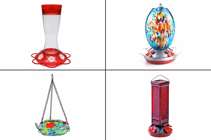 15 Best Hummingbird Feeders To Buy In 2021-1