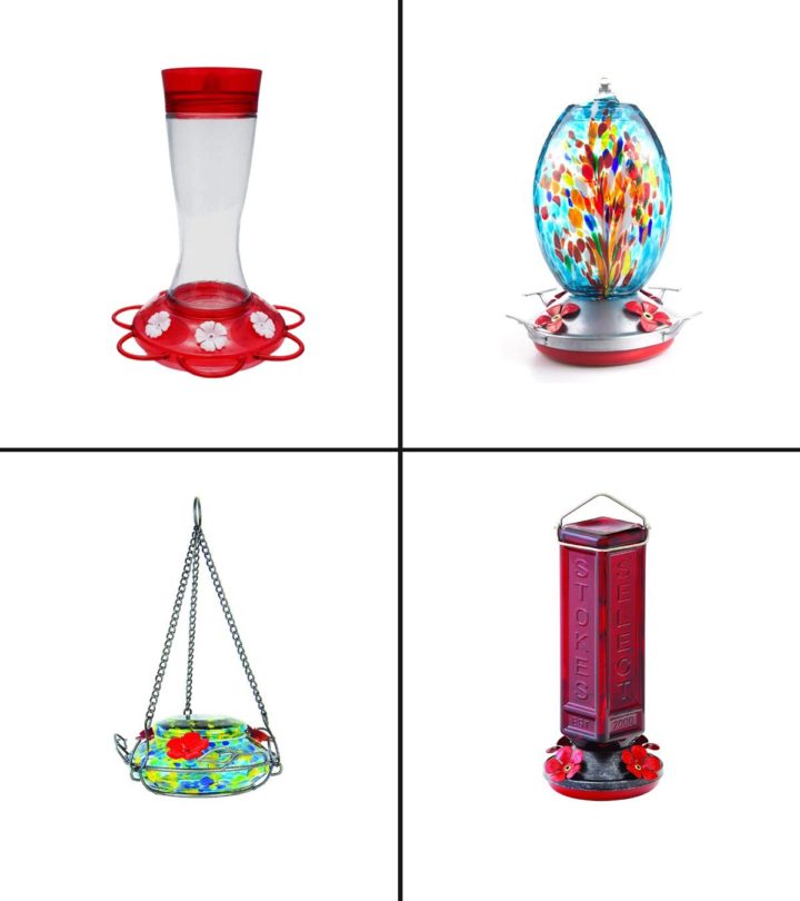 15 Best Hummingbird Feeders To Buy In 2021