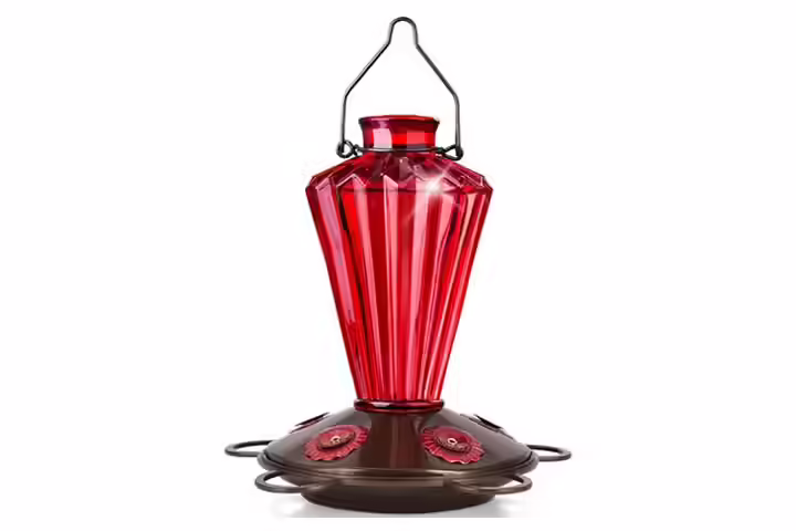 BOLITE Glass Hummingbird Feeder