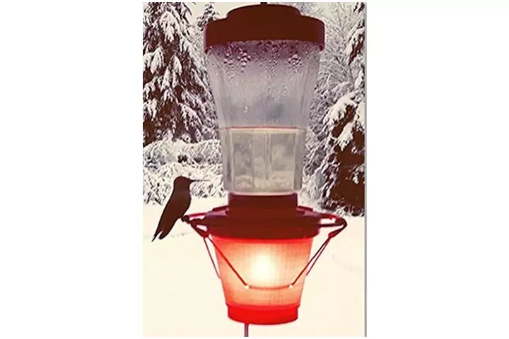 Backyard Bird Centre Hummer Hearth Hummingbird Feeder Heater