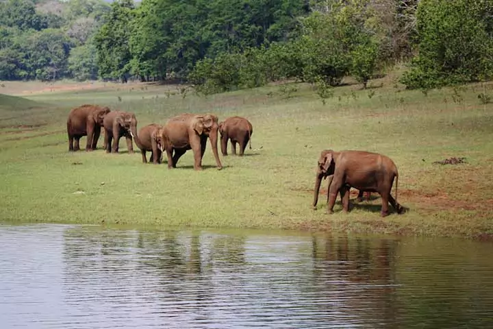 Explore The Exotic Wildlife Sanctuaries