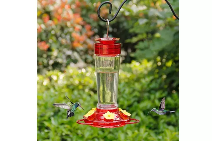 Shrdaepe Glass Hummingbird Feeder