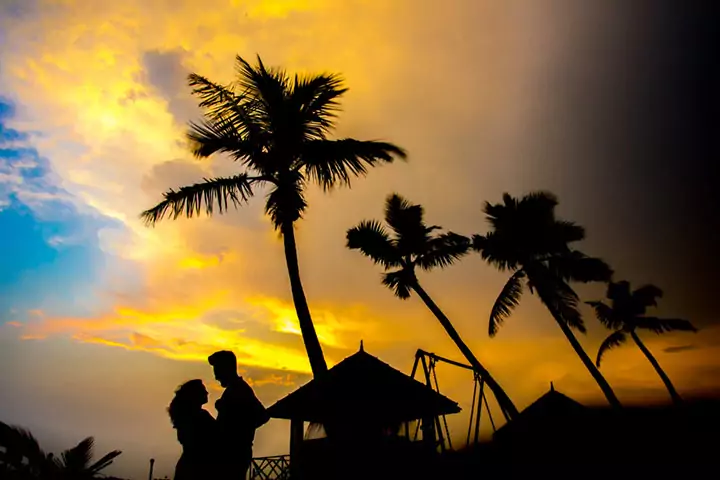 Traditional Cottage At Marari Beach