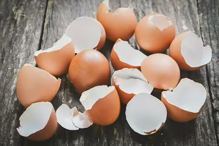 Wearing Eggshells On The Neck Will Keep The Baby Safe