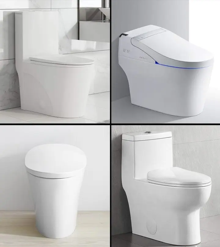 10 Best Flushing Toilets in 2021