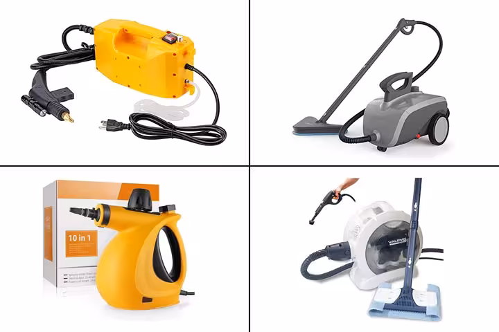 11 Best Steam Cleaners For Cars In 2021-1