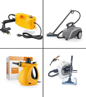 11 Best Steam Cleaners For Cars In 2021