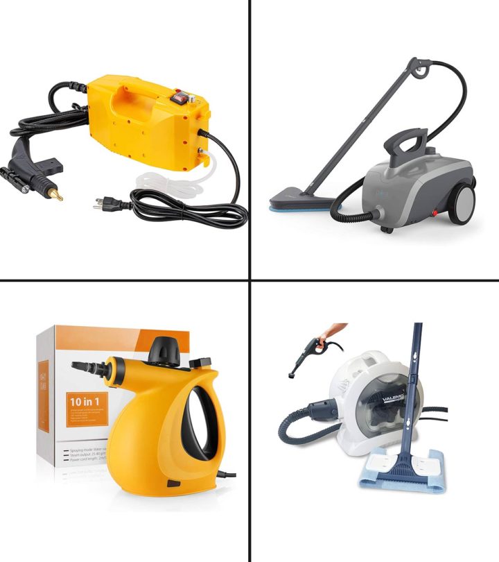 11 Best Steam Cleaners For Cars In 2021