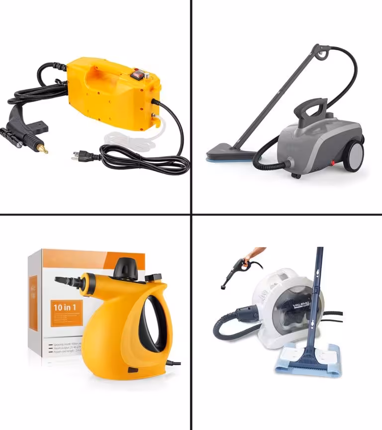 11 Best Steam Cleaners For Cars In 2021
