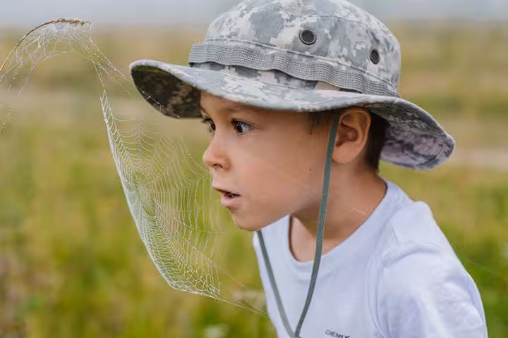 30 Informative And Fun Facts About Spiders For Kids