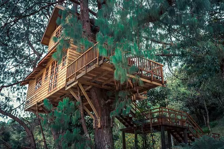 Candle-lit Dinner At A Treetop