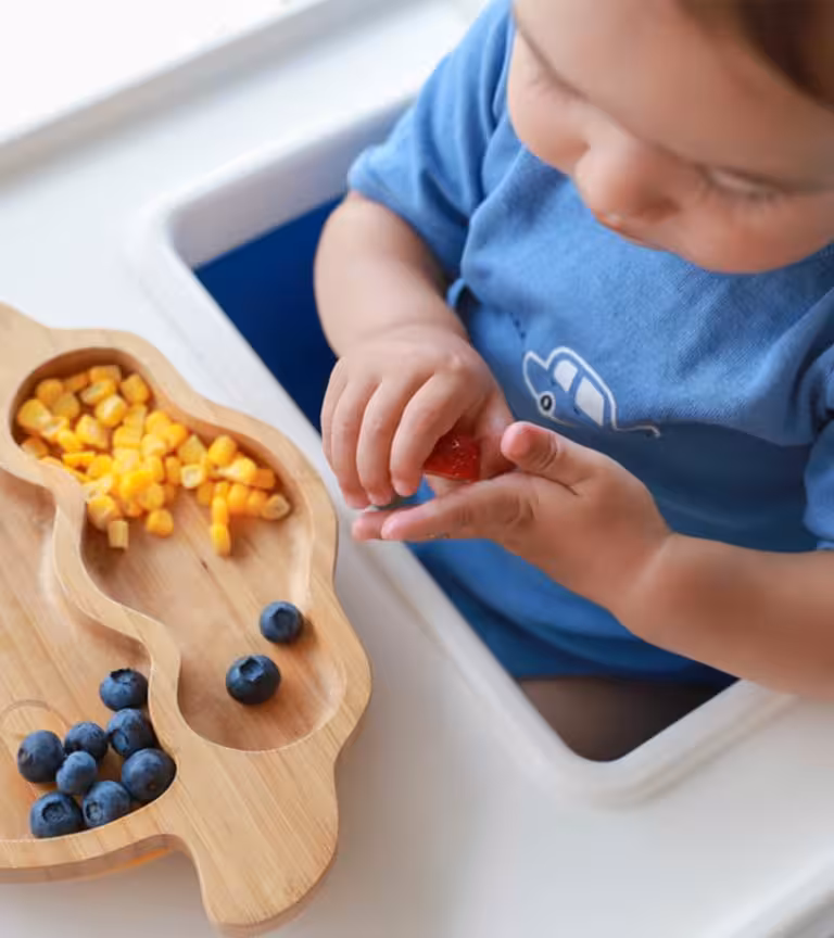 Finger Foods For Babies In Hindi