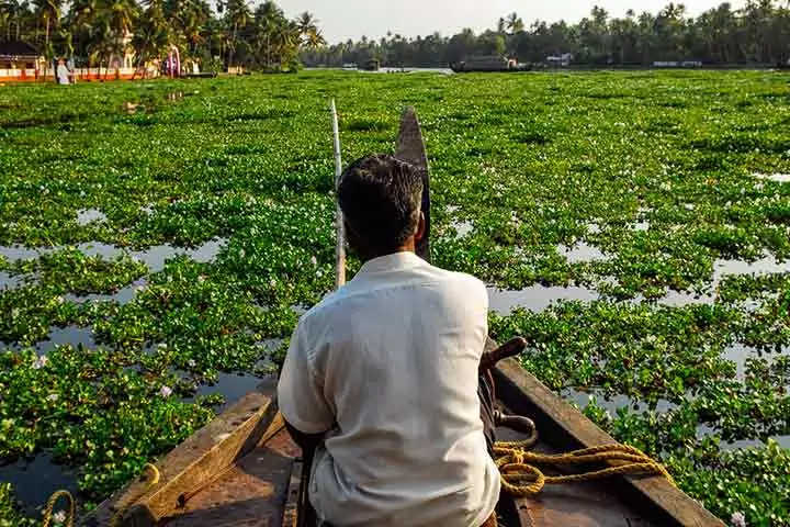 Kumarakom