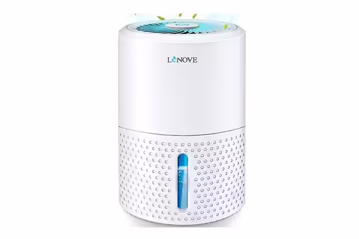 Lonove Dehumidifier Upgraded 2200 cu. ft.