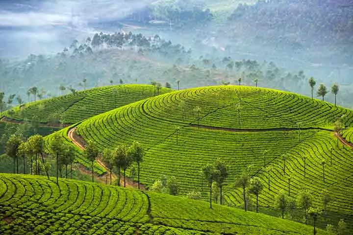 Munnar