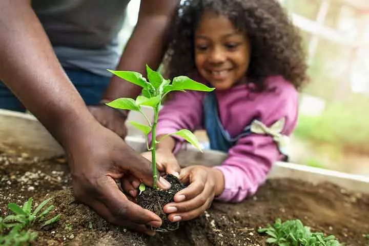 Seeds as experience gifts for kids