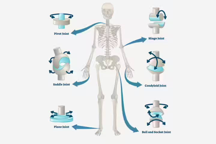 Several types of movable joints in children Several types of movable joints in children