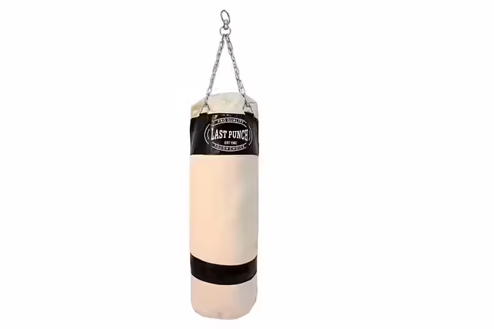 Lastworld Last Punch Heavy Duty Punching Bag