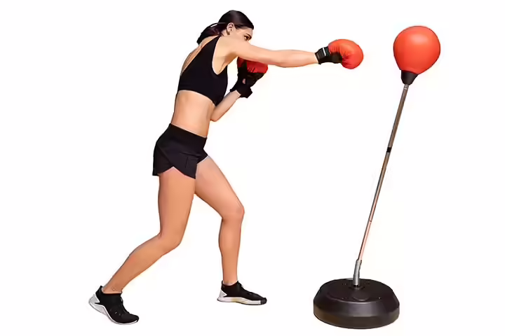 Protocol Punching Bag And Boxing Training Sets