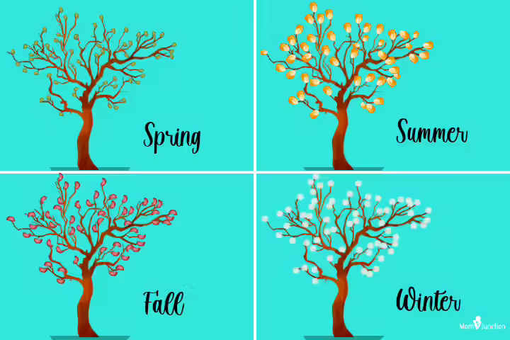 Four seasons craft weather activity for kids Four seasons craft weather activity for kids