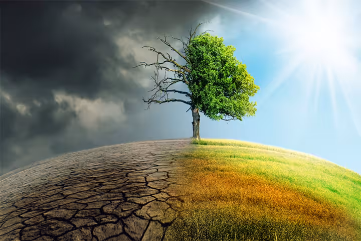 What Is Climate Change? Consequences, Causes, And Facts For Kids
