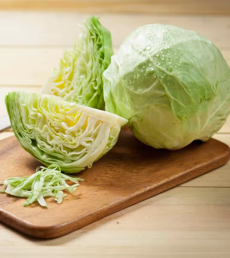 Benefits of Cabbage (Patta Gobhi) in Hindi