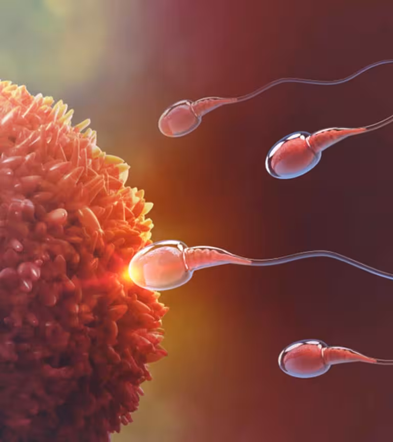 Home Remedies To Increase Fertility In Hindi
