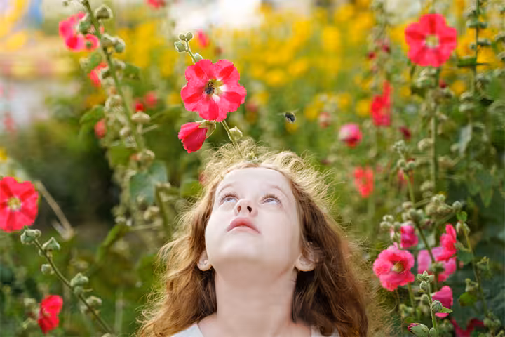 Bee Stings On Kids: Home Remedies And Treatment