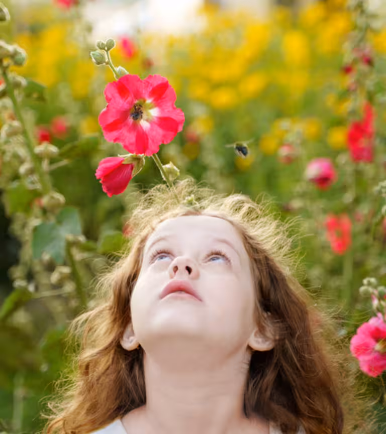 Bee Stings On Kids: Home RemediesAndTreatment