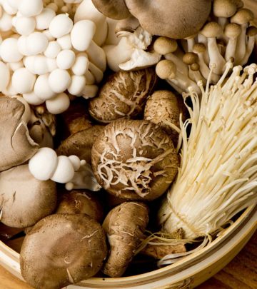 बच्चों को मशरूम (कुकुरमुत्ता) खिलाने के फायदे व रेसिपी | Benefits of Mushroom for Babies in Hindi_image