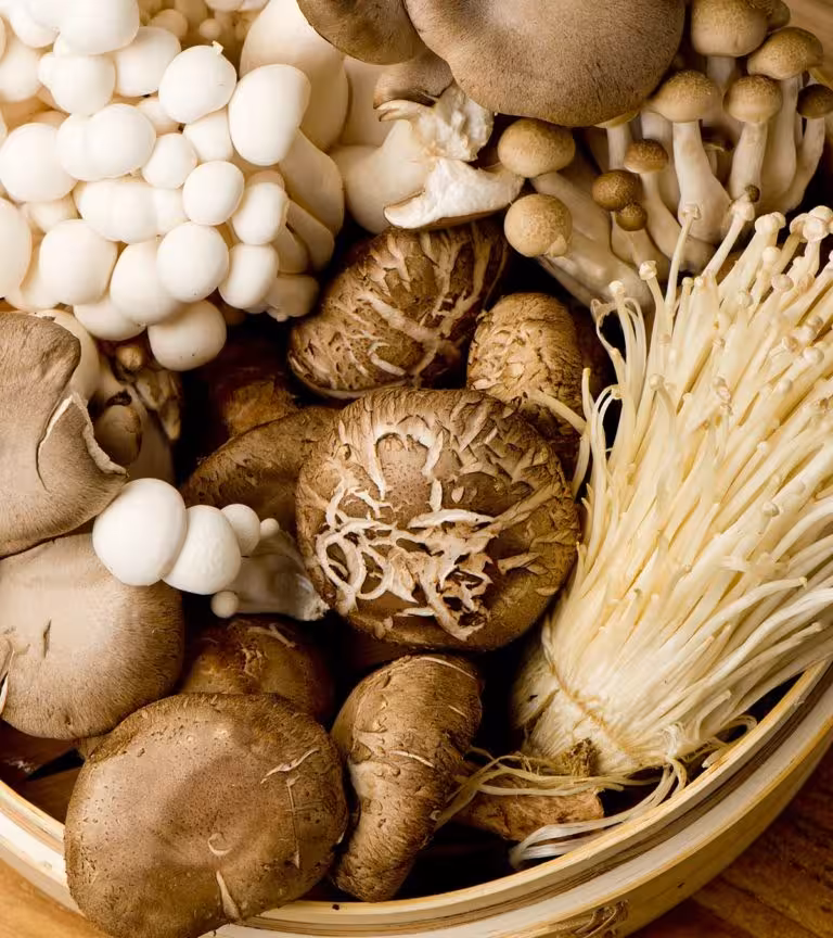 Benefits of Mushroom for Babies in Hindi