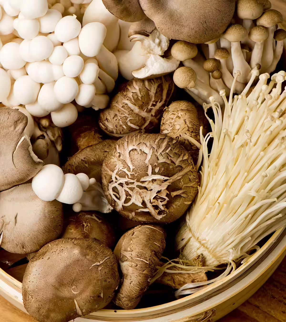 Benefits of Mushroom for Babies in Hindi