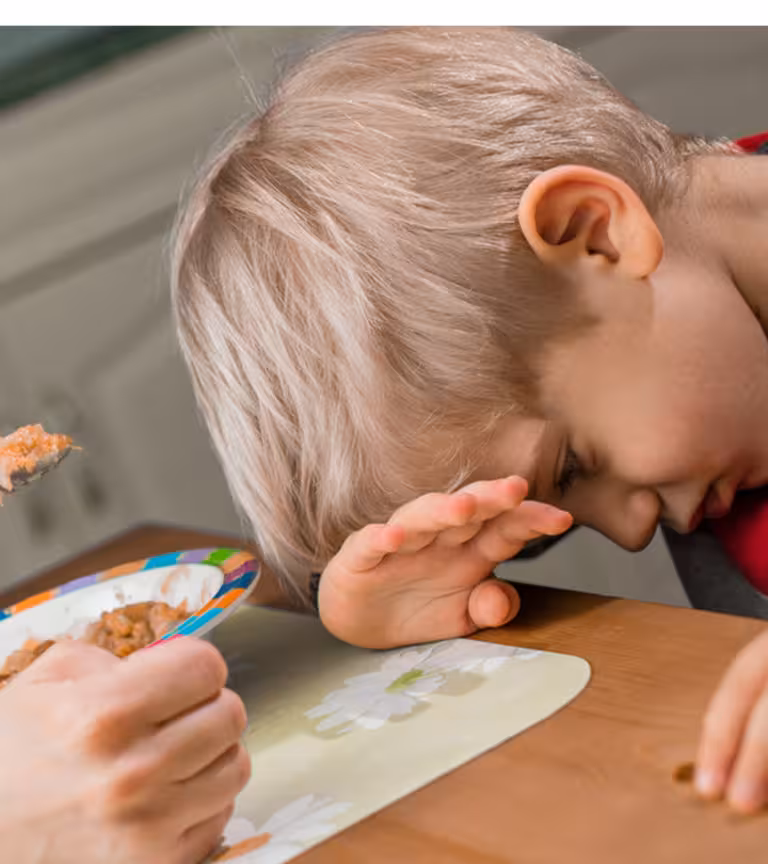 Reasons Why A Child Is A Picky Eater And Tips To Help Them