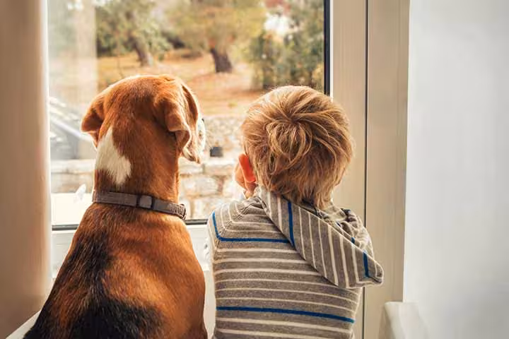what age can kids stay home alone