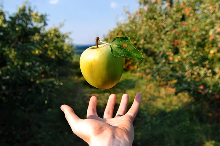 12 Interesting Facts, Importance And Examples Of Gravity For Kids